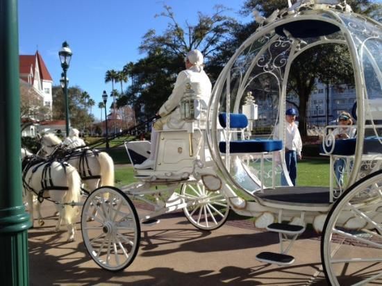 Disney Princess Cinderella Carriage-Wedding - Bridal Dress Gown Cleaning, Preservation & Restoration